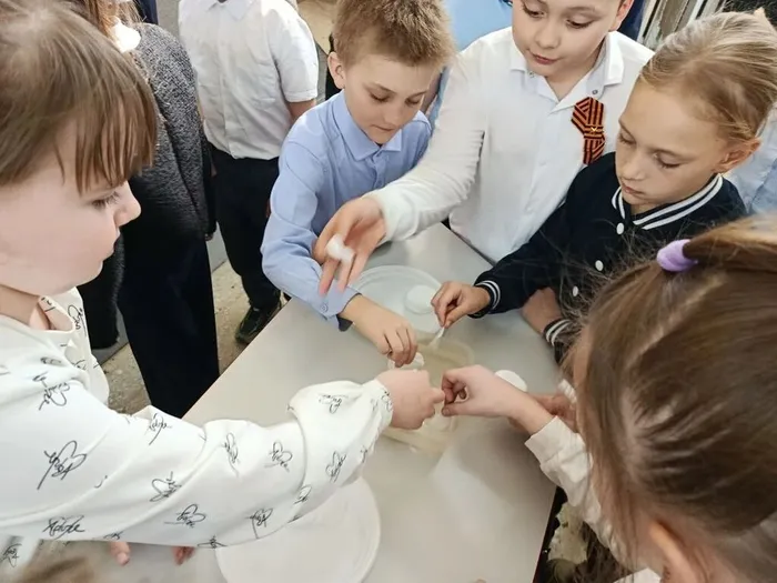 8d382e33-82dc-4dfa-92bb-2cfdb4c429db