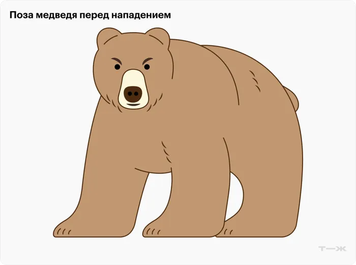 meeting-with-bear-4desk