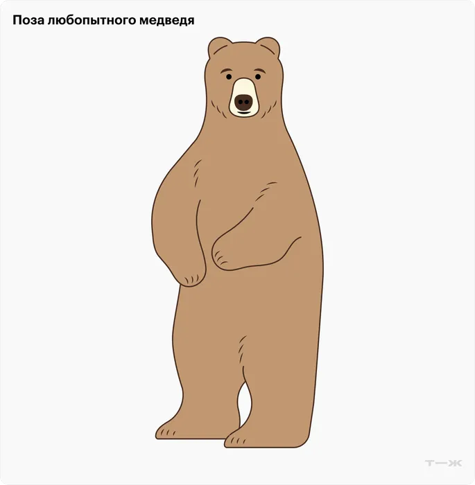 meeting-with-bear-1desk